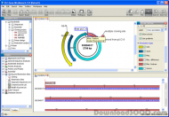 CLC RNA Workbench screenshot